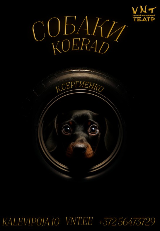 Koerad / Собаки - Vene Noorsooteater